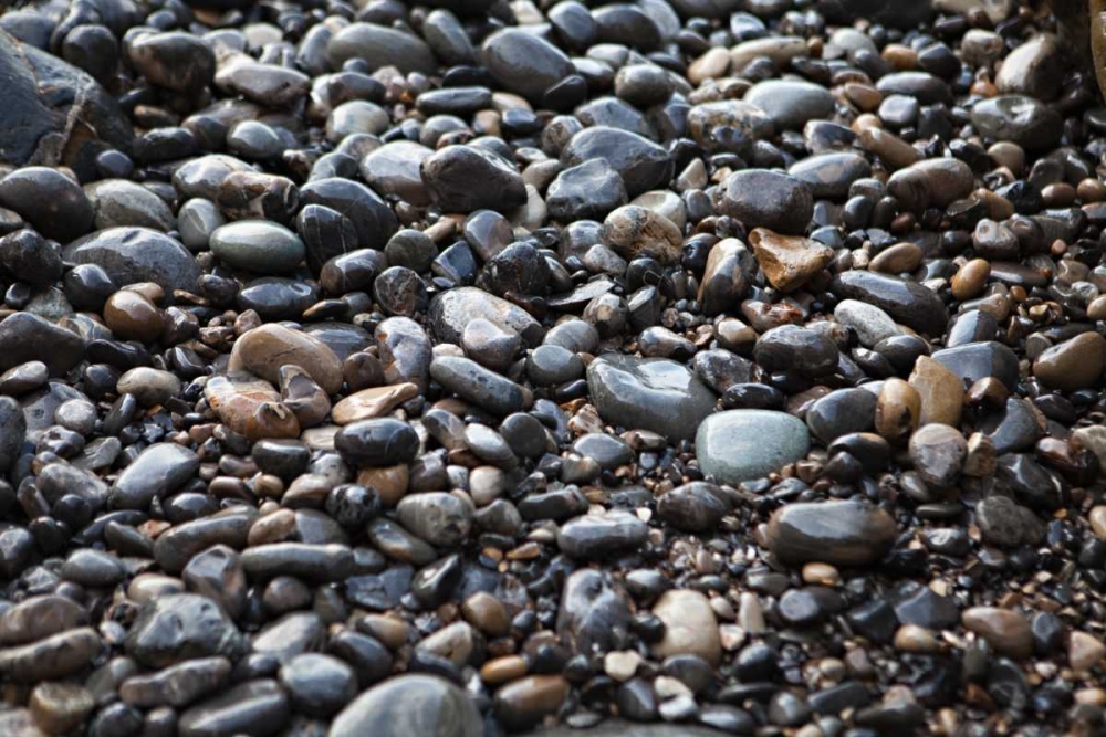 Pebble Patch II art print by Karyn Millet for $57.95 CAD