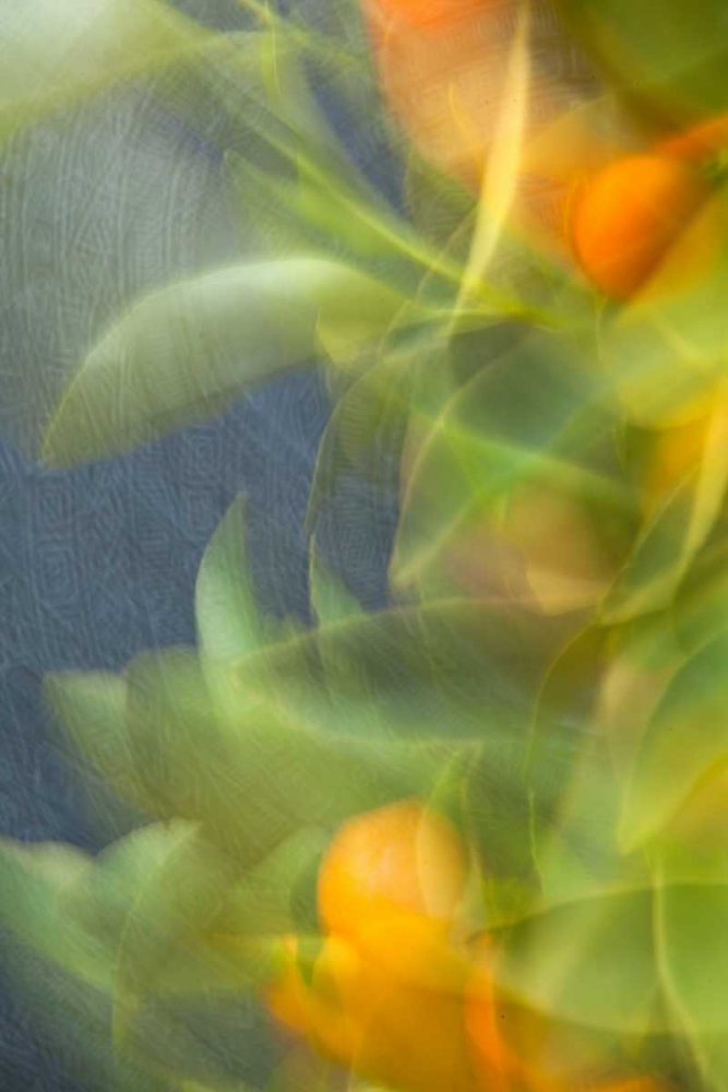 Abstract Vision I art print by Karyn Millet for $57.95 CAD