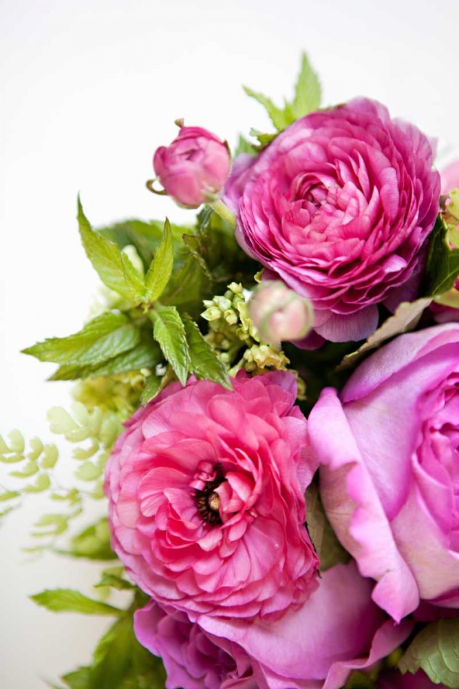 Pink and Lime I art print by Karyn Millet for $57.95 CAD