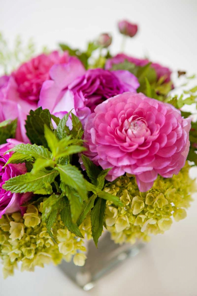 Pink and Lime II art print by Karyn Millet for $57.95 CAD