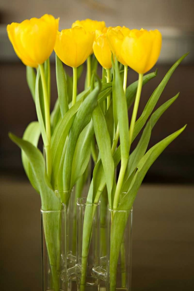 Yellow Tulips art print by Karyn Millet for $57.95 CAD