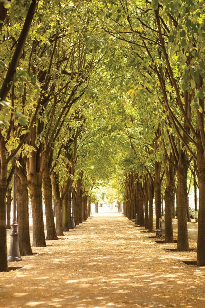 Follow the Path I art print by Karyn Millet for $57.95 CAD