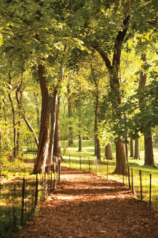 Follow the Path II art print by Karyn Millet for $57.95 CAD