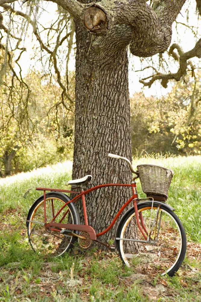Go by Bike II art print by Karyn Millet for $57.95 CAD