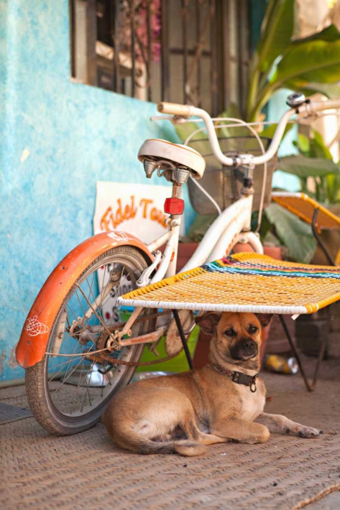 A Dogs Life IV art print by Karyn Millet for $57.95 CAD