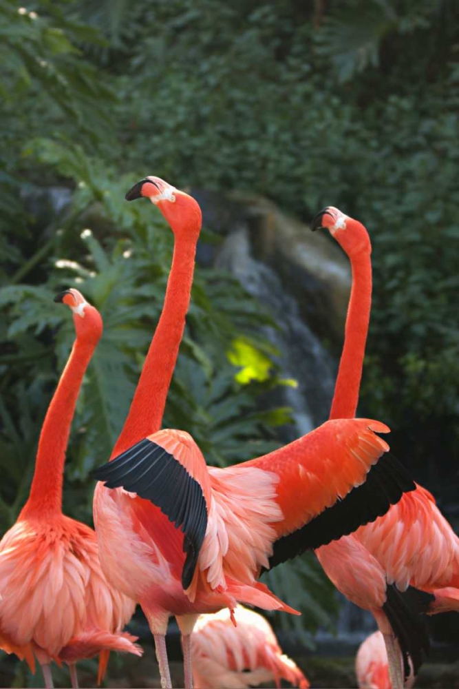 Flamingos I art print by Karyn Millet for $57.95 CAD