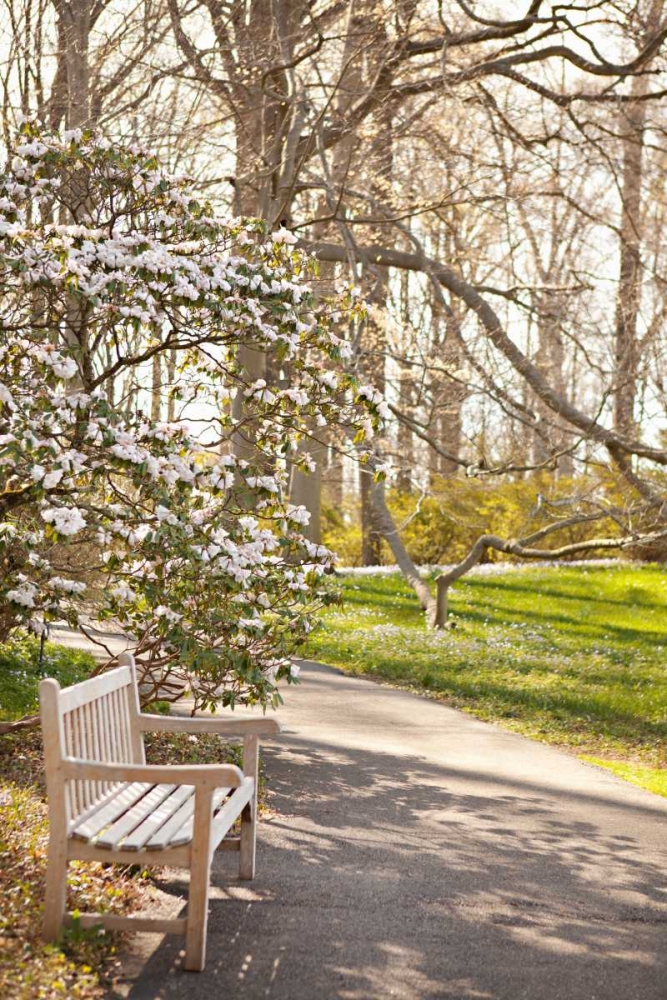 In the Park II art print by Karyn Millet for $57.95 CAD