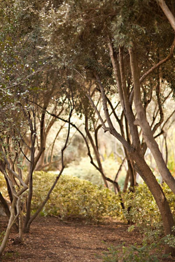 Secret Garden I art print by Karyn Millet for $57.95 CAD