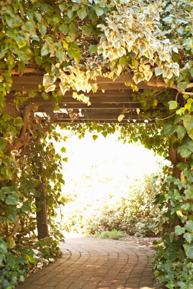 Secret Garden II art print by Karyn Millet for $57.95 CAD