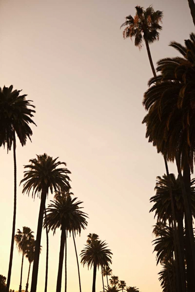 Tropical Silhouette I art print by Karyn Millet for $57.95 CAD