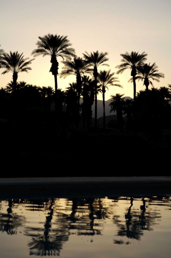 Tropical Silhouette II art print by Karyn Millet for $57.95 CAD