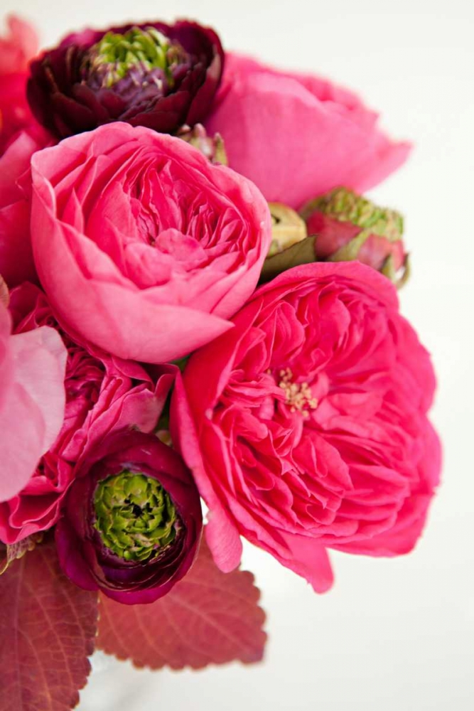 Peony Bouquet II art print by Karyn Millet for $57.95 CAD
