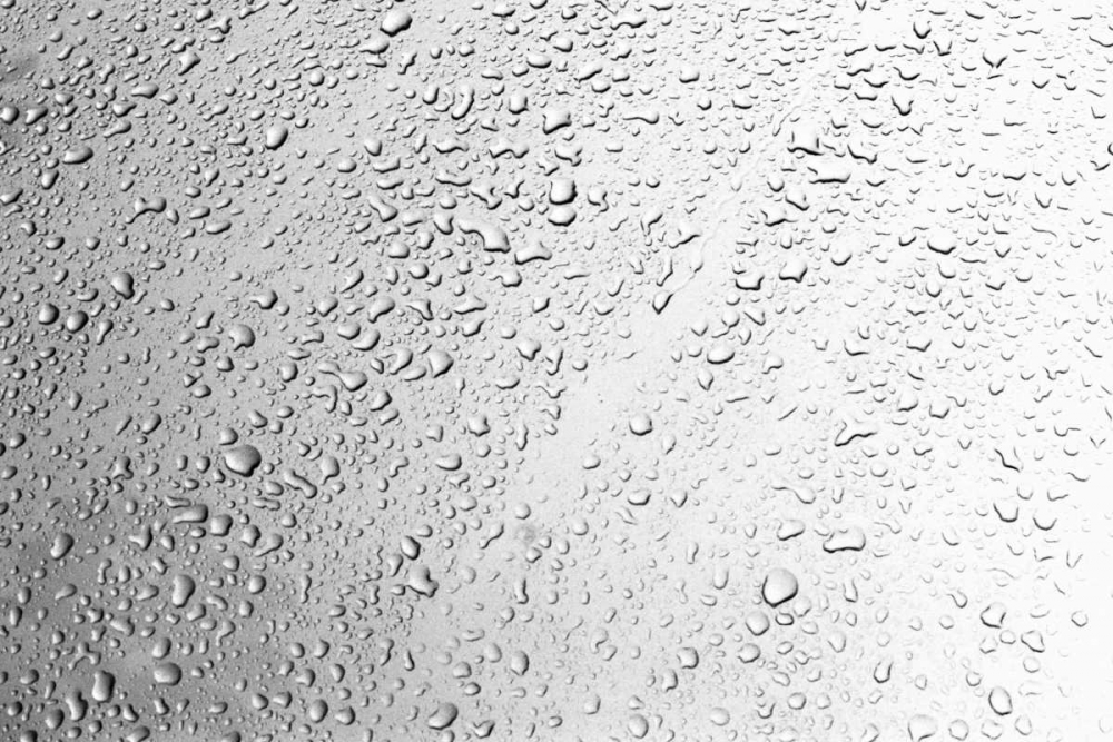 Rain Drops II art print by Karyn Millet for $57.95 CAD