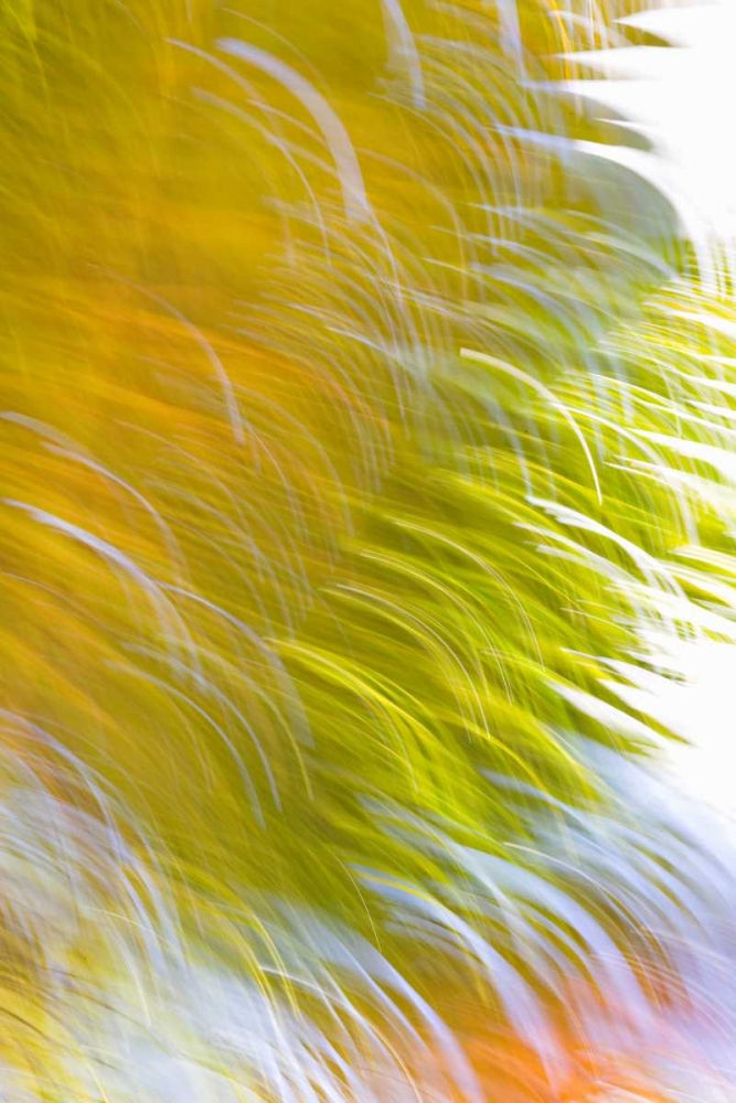 In Motion I art print by Karyn Millet for $57.95 CAD