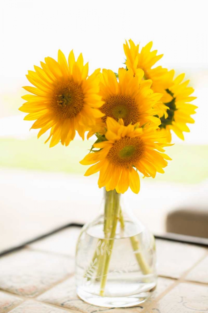 Sunflowers in Small Vase art print by Karyn Millet for $57.95 CAD