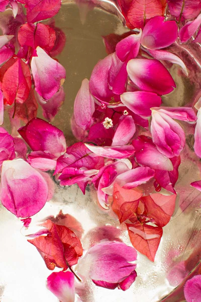 Pink Petals Abstract II art print by Karyn Millet for $57.95 CAD