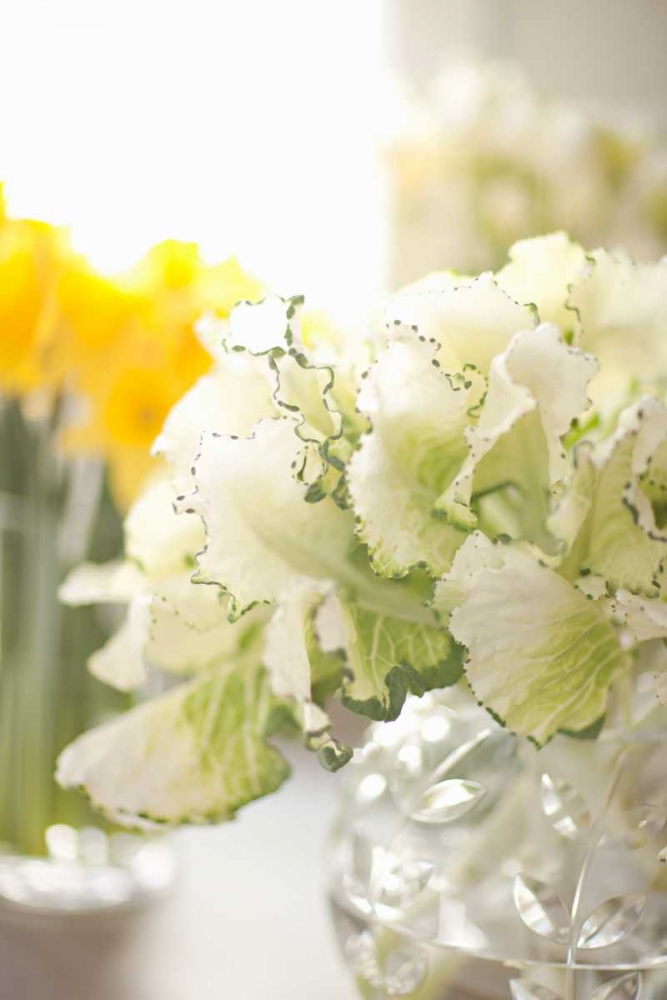 White Bouquet art print by Karyn Millet for $57.95 CAD