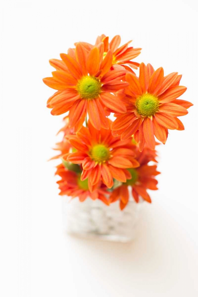 Spring Bouquet art print by Karyn Millet for $57.95 CAD
