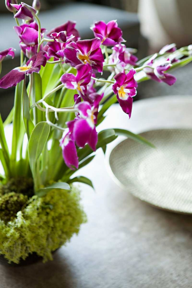 Orchid III art print by Karyn Millet for $57.95 CAD