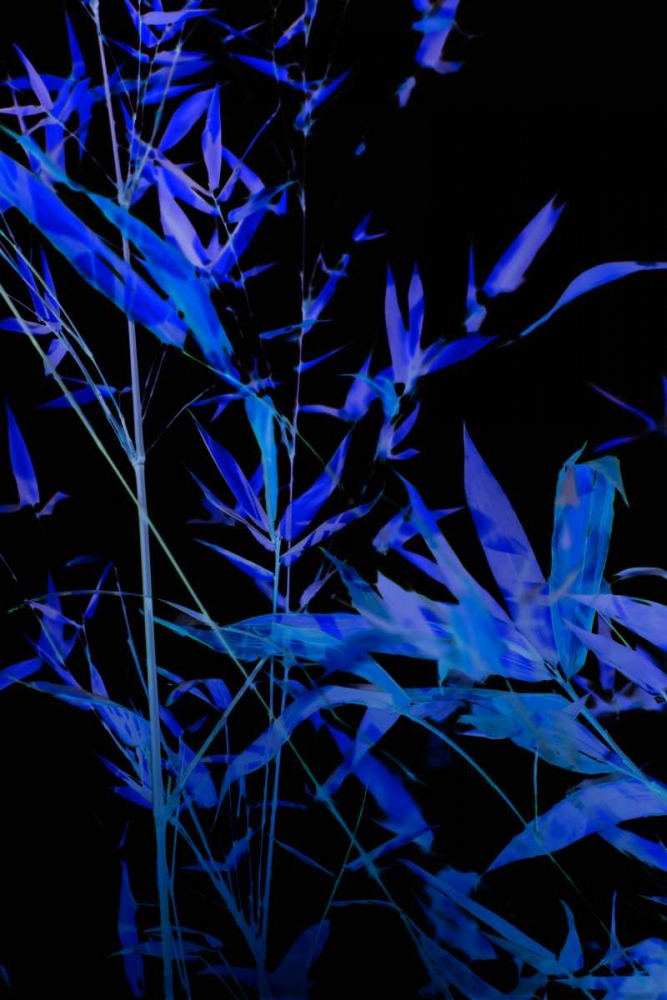 Bamboo at Night II art print by Karyn Millet for $57.95 CAD