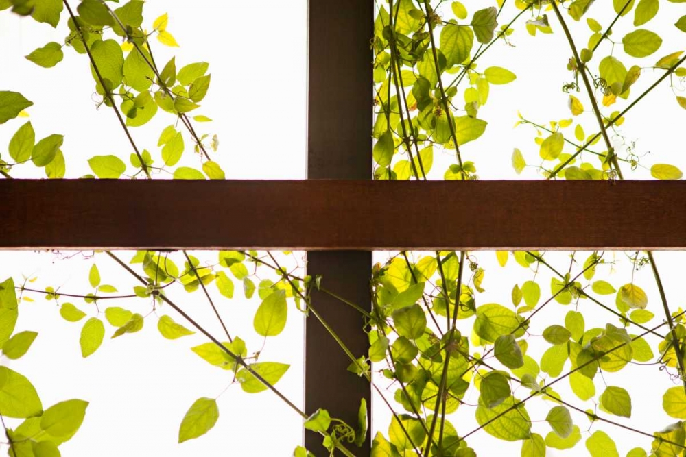 Branches and Lattice art print by Karyn Millet for $57.95 CAD