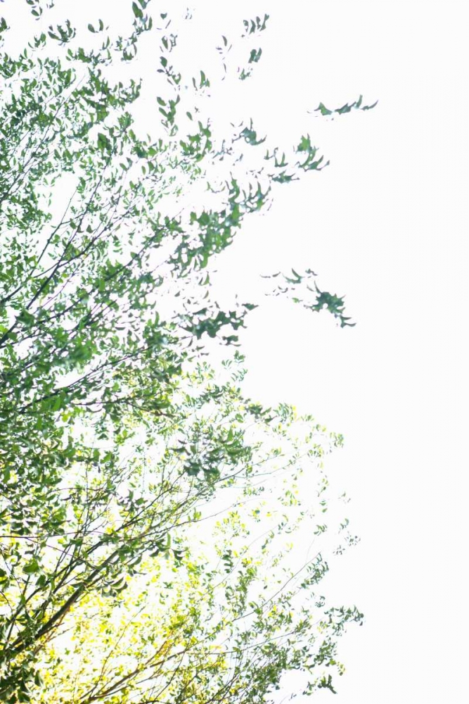 Trees I art print by Karyn Millet for $57.95 CAD