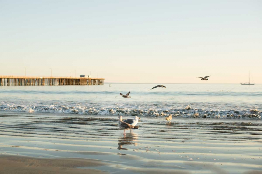 Ocean Pier art print by Karyn Millet for $57.95 CAD