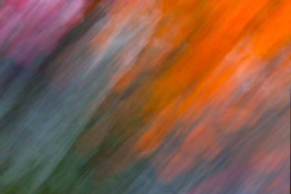 Abstract Skies III art print by Karyn Millet for $57.95 CAD