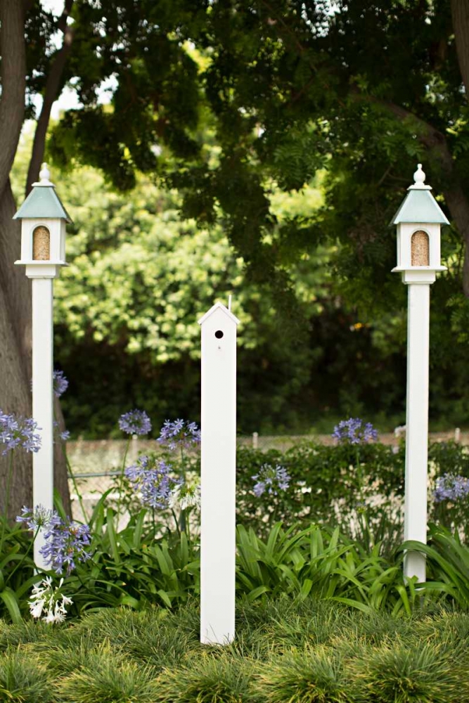 Bird Houses art print by Karyn Millet for $57.95 CAD