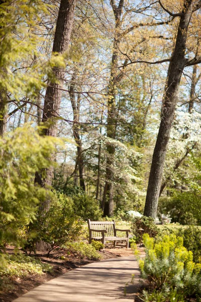 Park Bench art print by Karyn Millet for $57.95 CAD