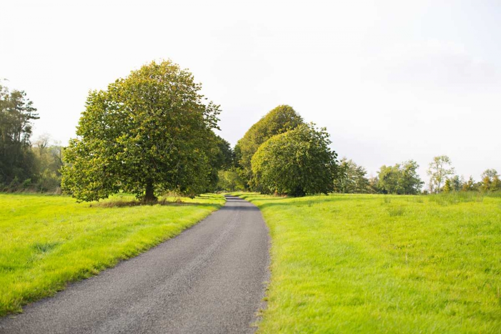 Country Road II art print by Karyn Millet for $57.95 CAD