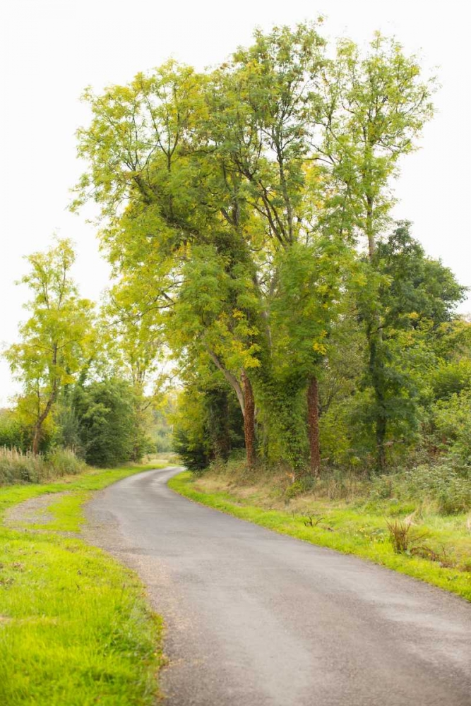 Country Road IV art print by Karyn Millet for $57.95 CAD