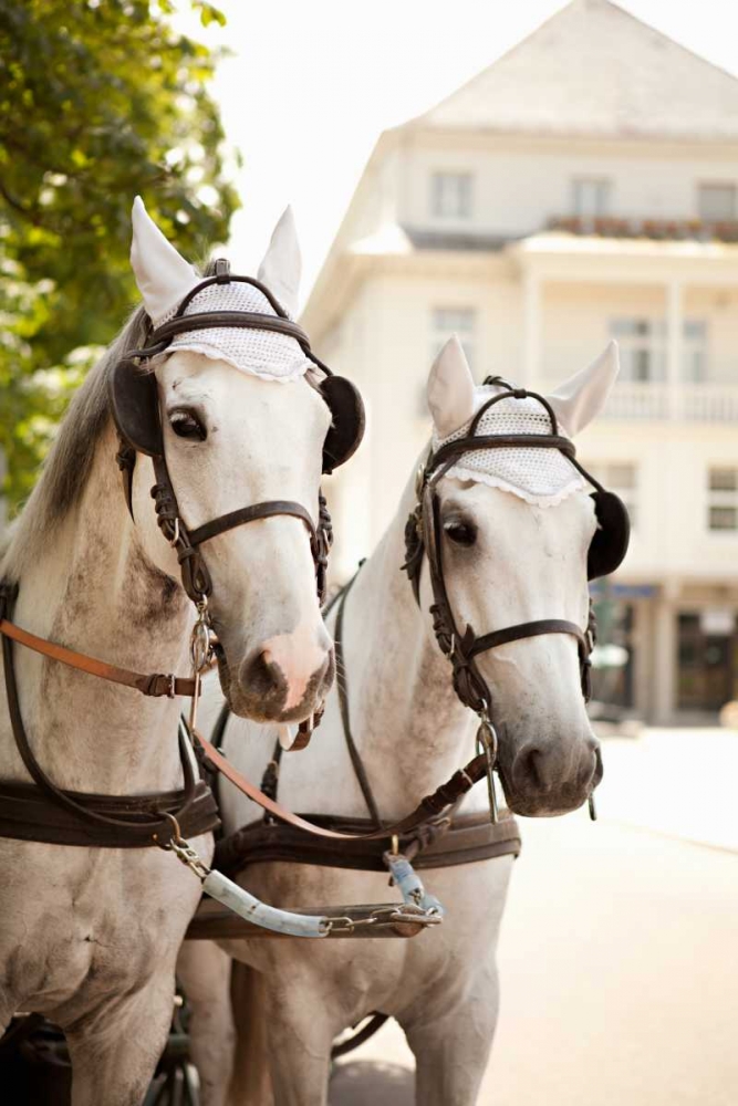 Bridled Horses art print by Karyn Millet for $57.95 CAD