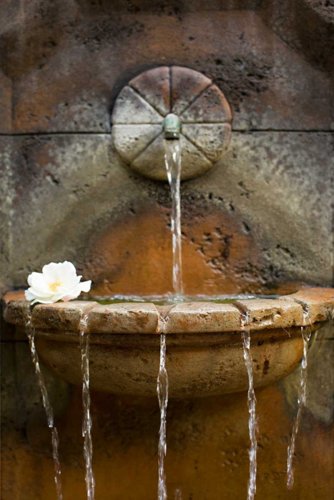 Fountain I art print by Karyn Millet for $57.95 CAD