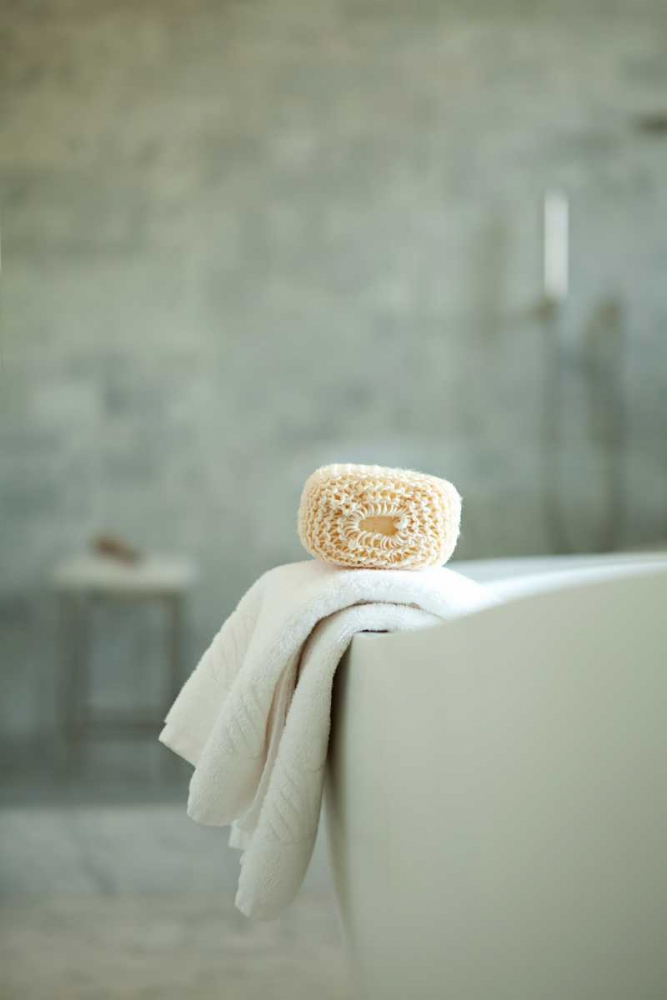 Bath is Ready II art print by Karyn Millet for $57.95 CAD