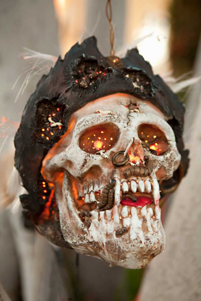 Pirate Skull art print by Karyn Millet for $57.95 CAD