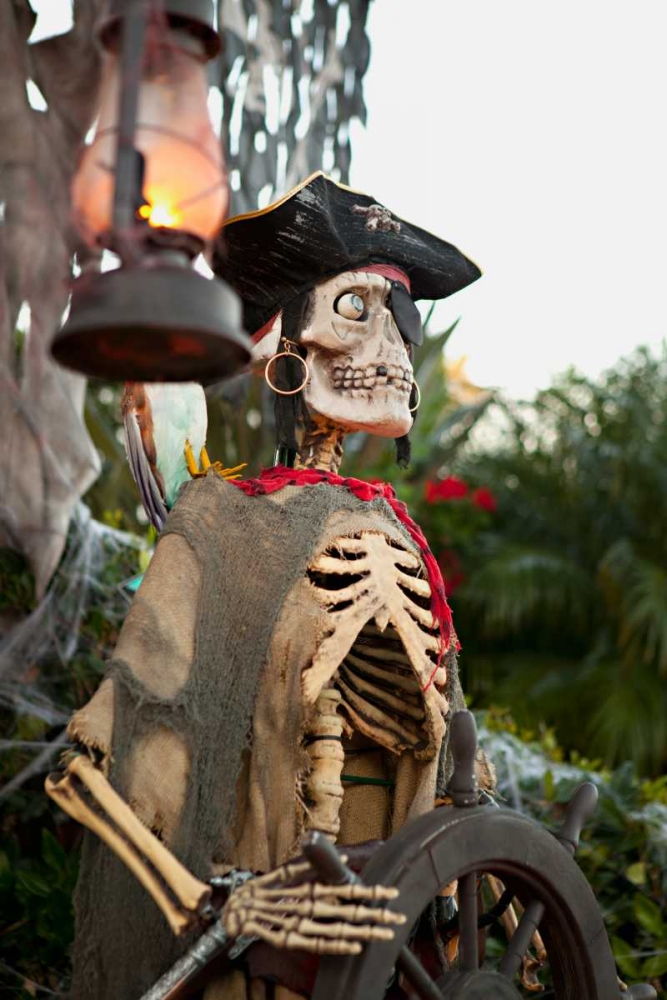 Pirate Skull II art print by Karyn Millet for $57.95 CAD