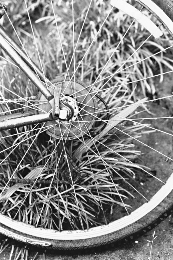 Bike Spoke art print by Karyn Millet for $57.95 CAD