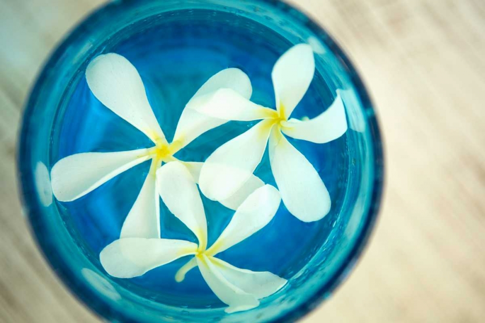 Floating Flowers I art print by Karyn Millet for $57.95 CAD