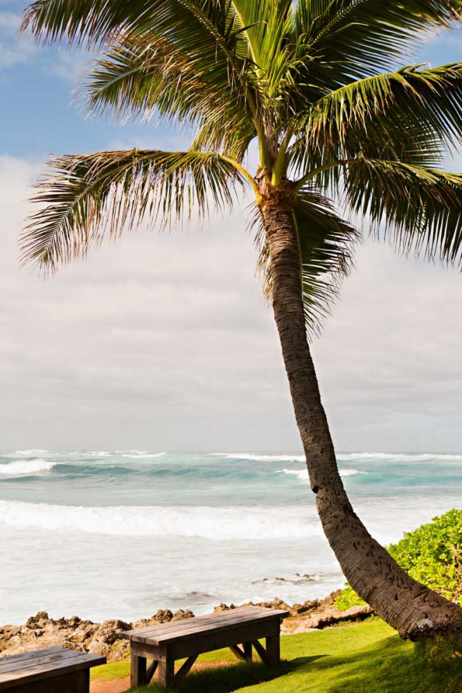 Peaceful Caribbean I art print by Karyn Millet for $57.95 CAD