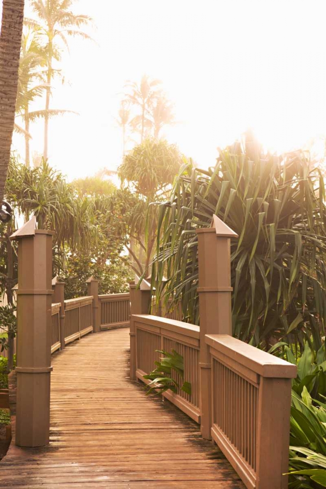 Path to the Beach art print by Karyn Millet for $57.95 CAD