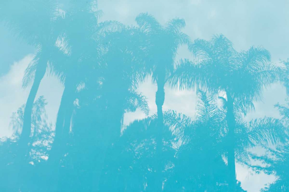 Beverly Hills Pool I art print by Karyn Millet for $57.95 CAD