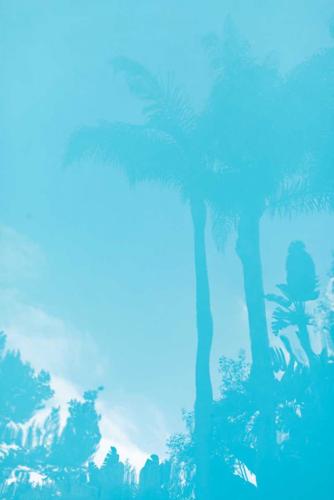 Beverly Hills Pool III art print by Karyn Millet for $57.95 CAD
