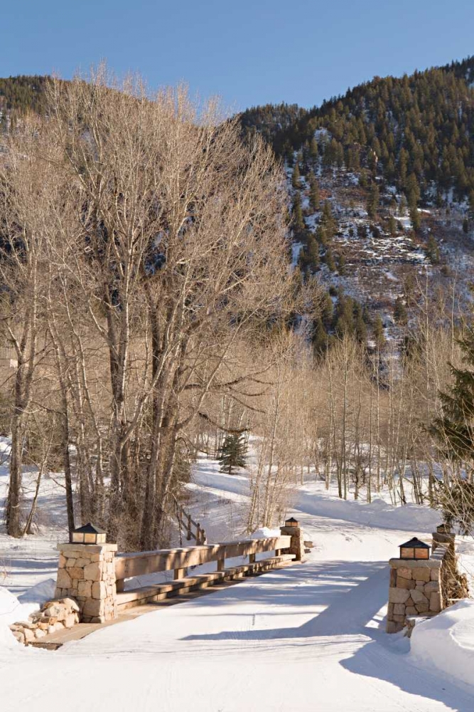 Snowy Path art print by Karyn Millet for $57.95 CAD