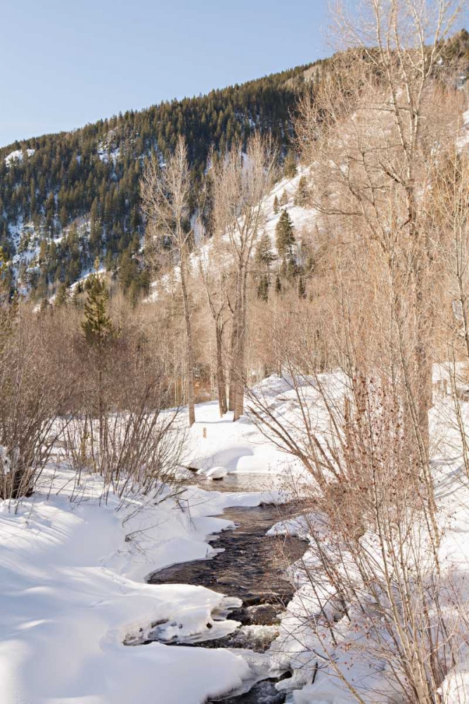 Snow in the Mountains art print by Karyn Millet for $57.95 CAD