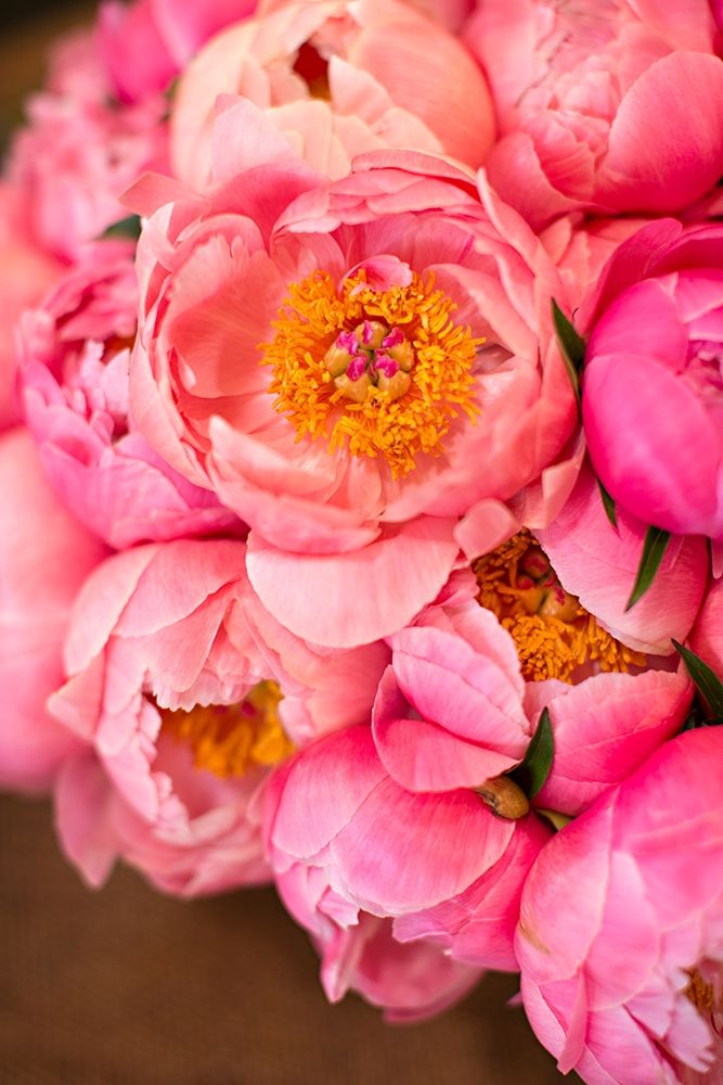Variations Of Pink Bouquet art print by Karyn Millet for $57.95 CAD