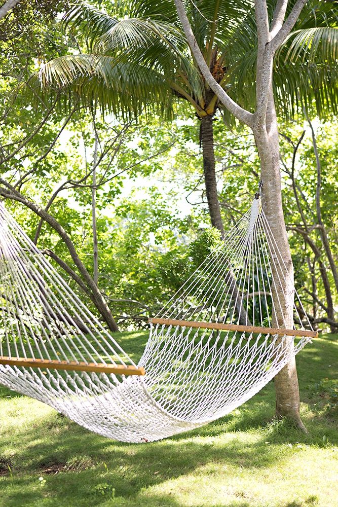 Tropical Siesta art print by Karyn Millet for $57.95 CAD