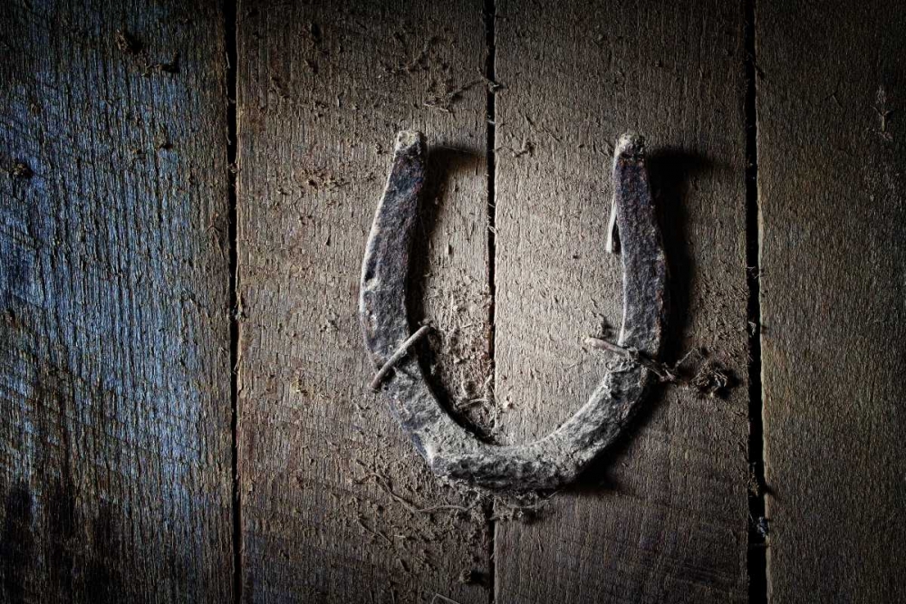 Horseshoe art print by C. Thomas McNemar for $57.95 CAD