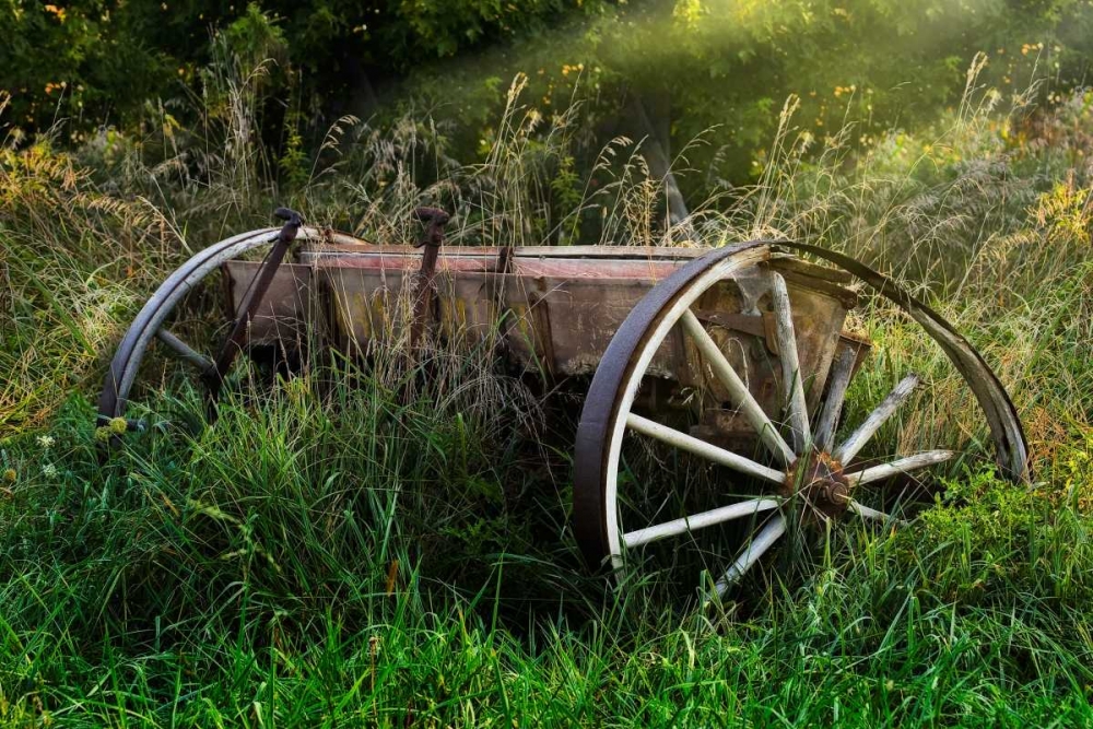 Abandoned Farm Equipment art print by C. Thomas McNemar for $57.95 CAD