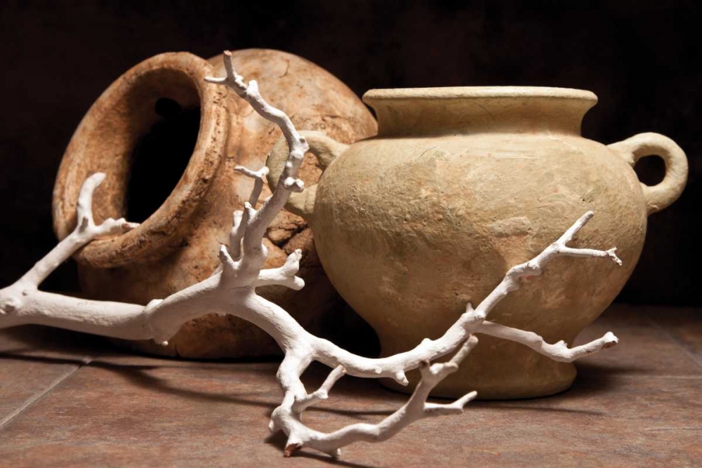 Pottery with Branch II art print by C. Thomas McNemar for $57.95 CAD